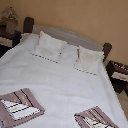 Motel Rudnik *